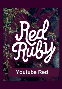 دانلود سریال Red Ruby