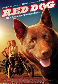 دانلود فیلم Red Dog 2011