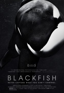 دانلود فیلم Blackfish 2013