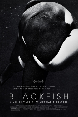 دانلود فیلم Blackfish 2013